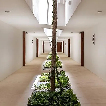 Panoramic Tulum Apartment